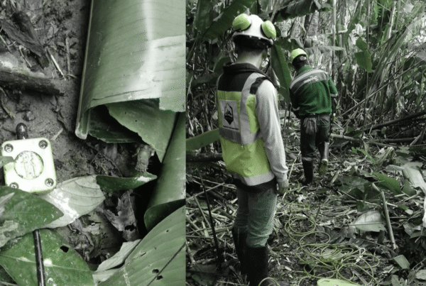 MASW