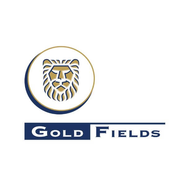 Gold Fields